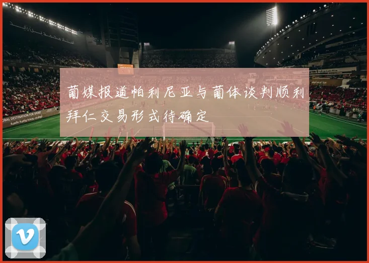 葡媒报道帕利尼亚与葡体谈判顺利拜仁交易形式待确定
