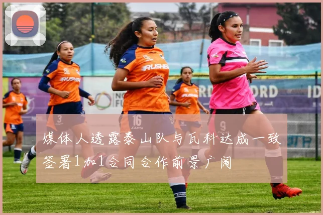 媒体人透露泰山队与瓦科达成一致签署1加1合同合作前景广阔